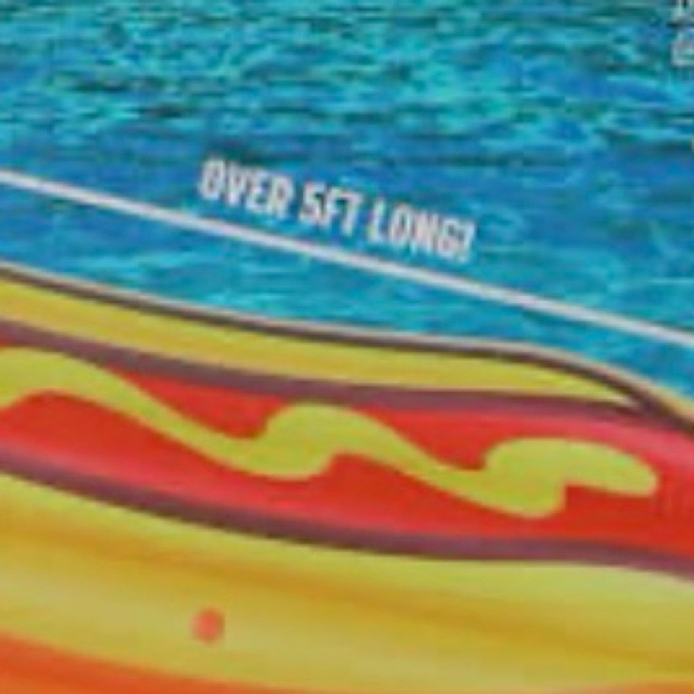 HOT DOG Pool Party Float