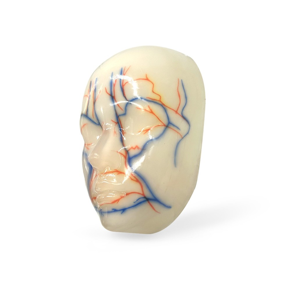 Multi-Functional Silicone Face Injection Model for Filler, Suture & Thread Train