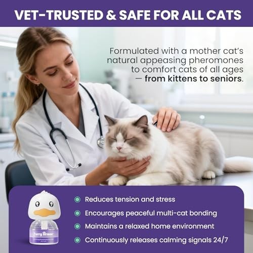 Calming Pheromone Diffuser Refills for Cats, 6-Pack, Odorless & Long-Lasting - R