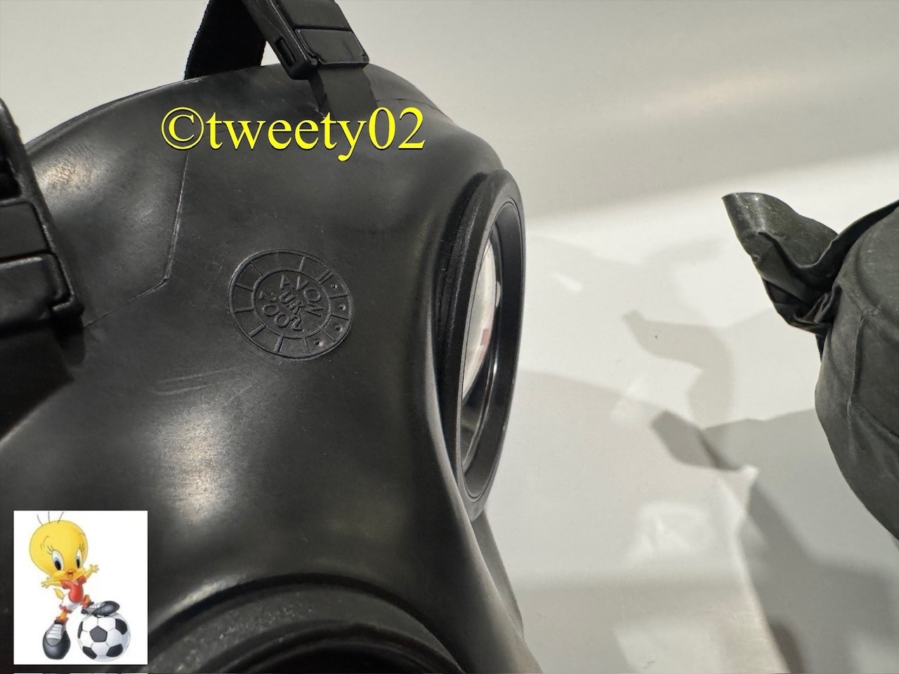 Avon Fm 12 Gas Mask Size 2 + Filter