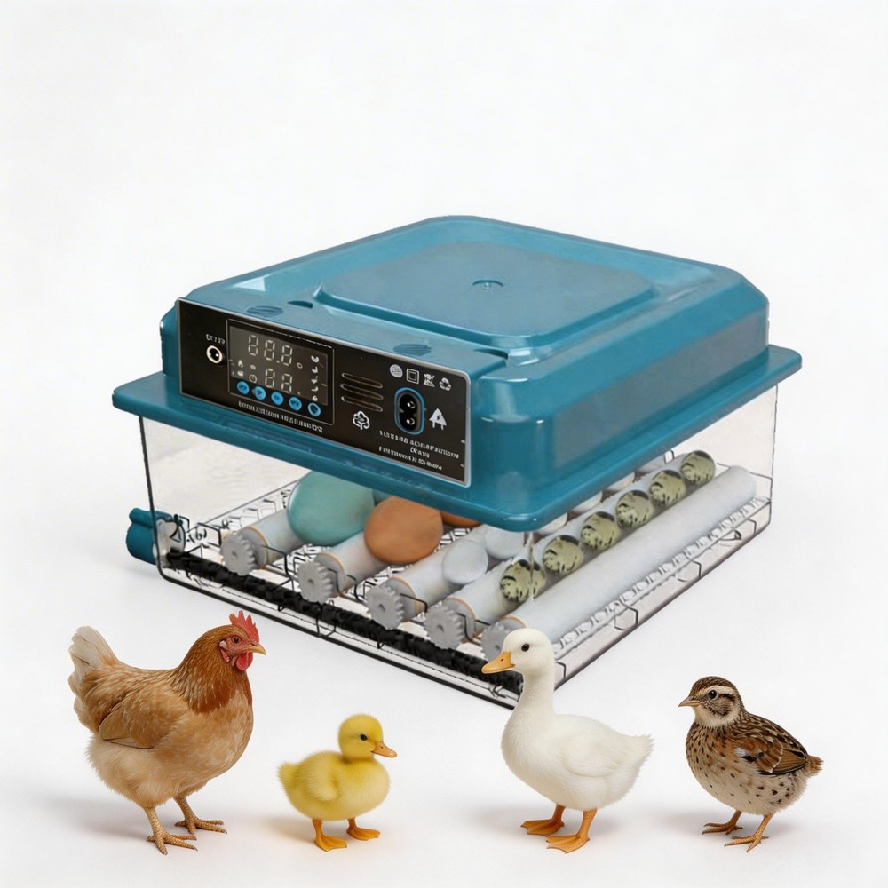 16/36 Eggs Incubator Digital Hatcher Temperature Control Fully Automatic Turning