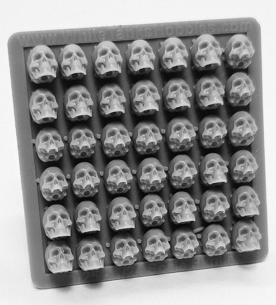Skulls 1/24 - 1/25 Scale