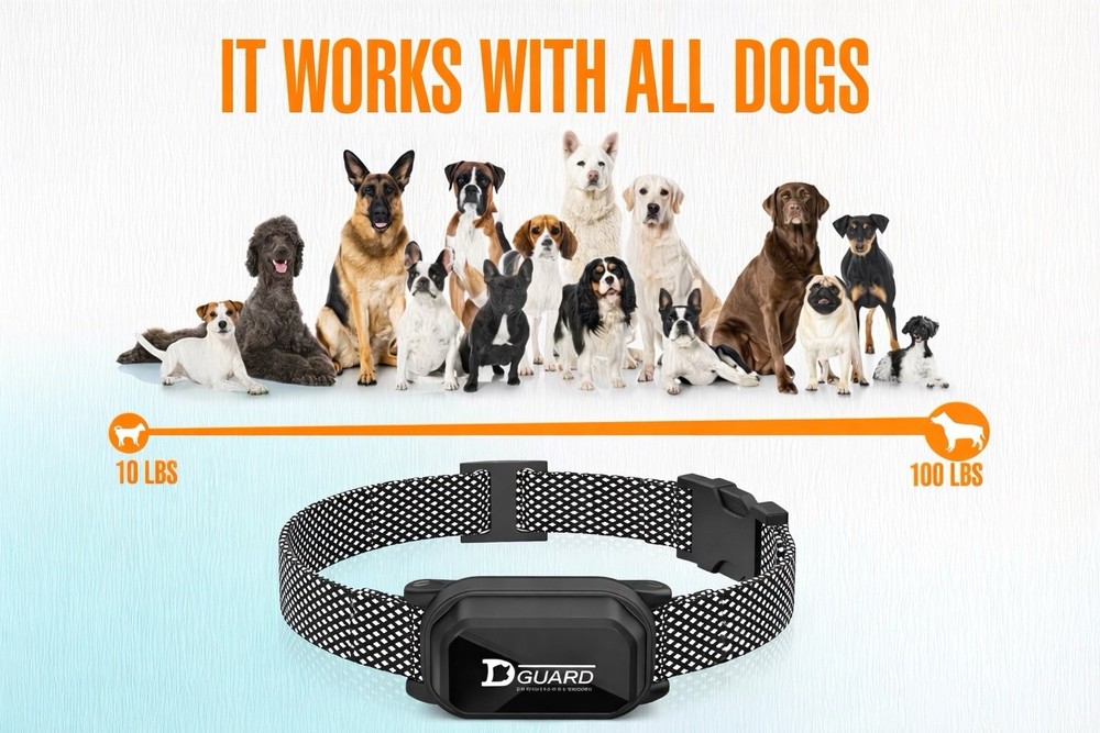dog training collar with remote