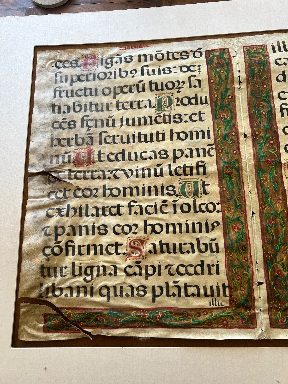 Rare Museum Large 15th century Illuminated Manuscript Leaf on Parchment