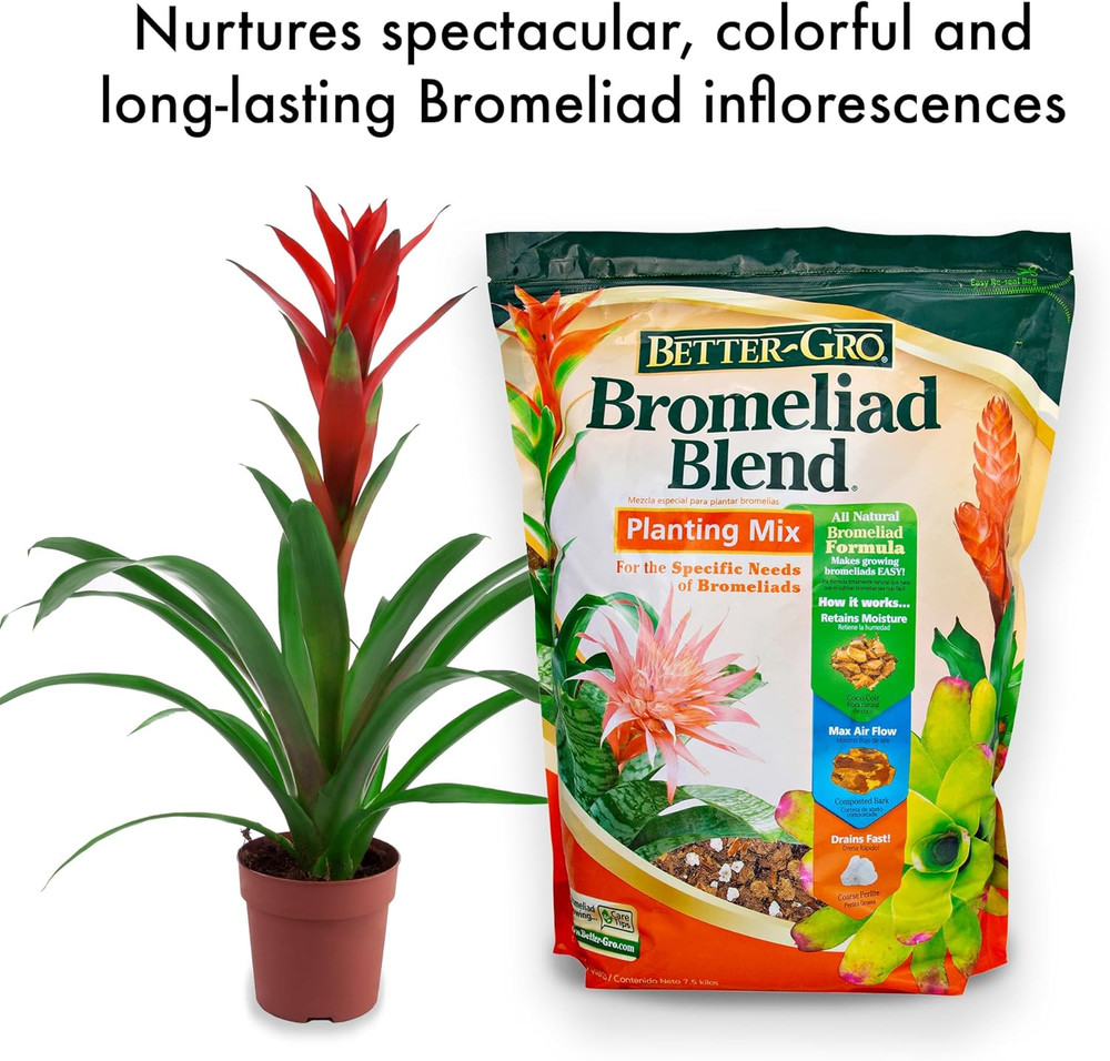 Bromeliad Blend 8 Quart