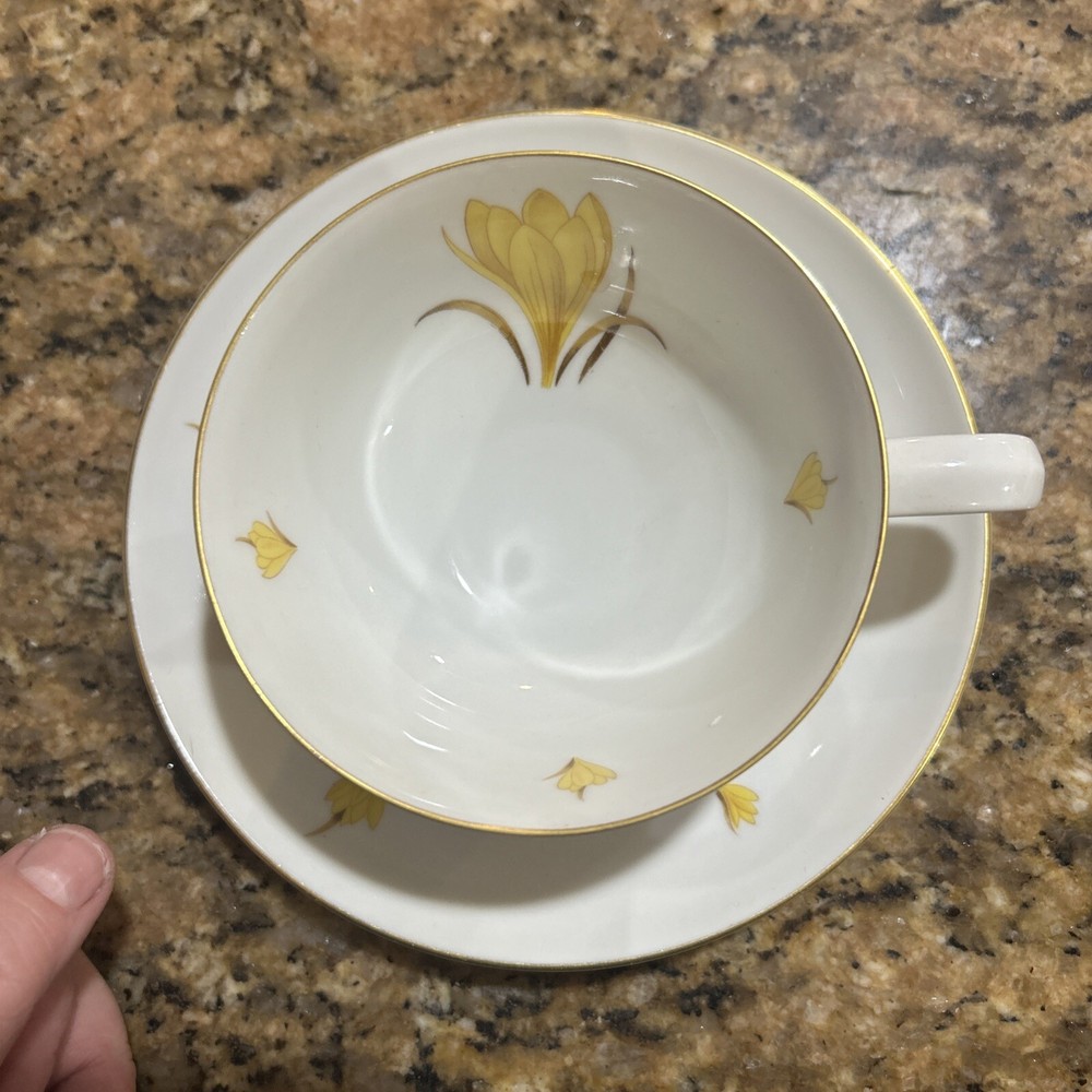(10) Easterling Golden Crocus Tea Cup & Saucer sets (20 Pcs. Total)