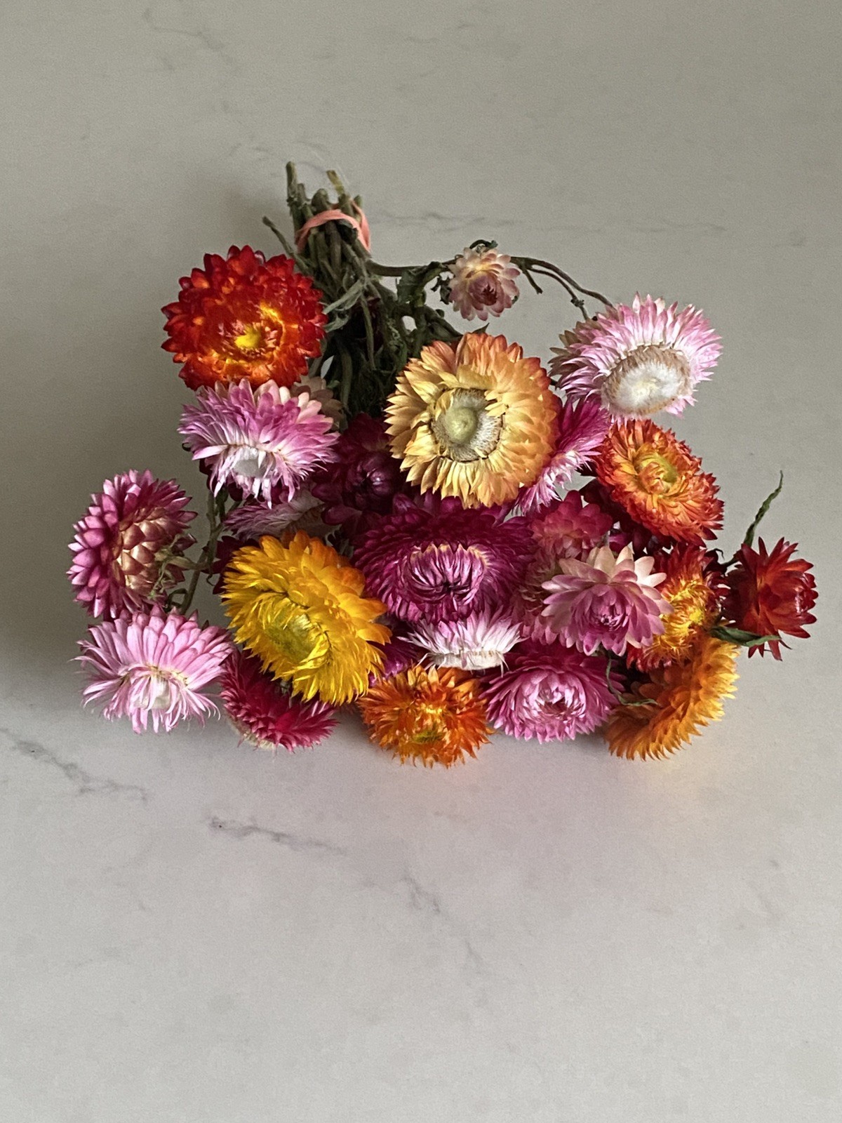 Beautiful STRAWFLOWERS Mix Assorted Bunch BOUQUET Bundle DRIED Flowers USA Auc#1