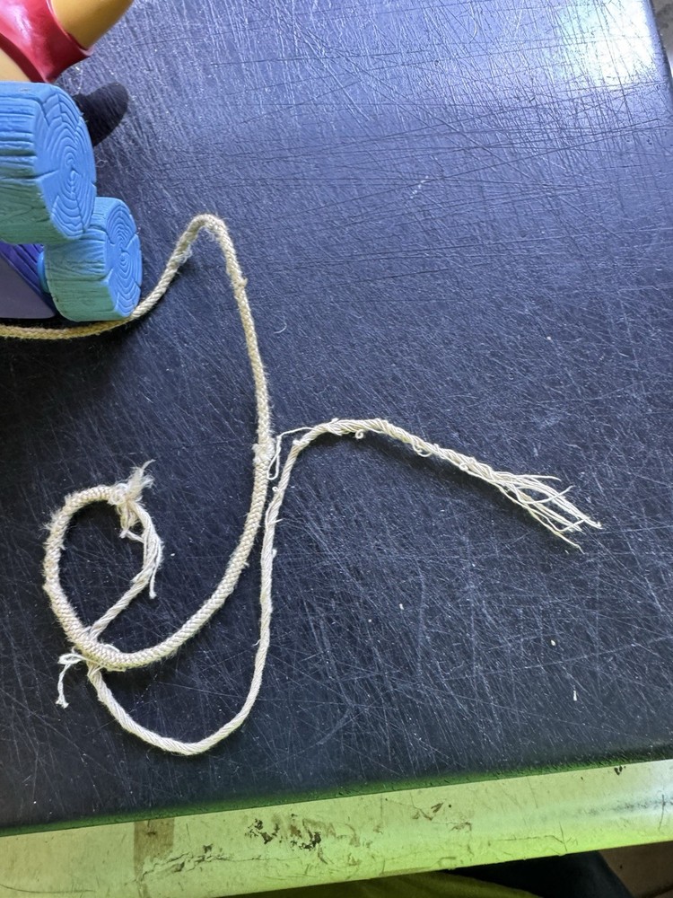 Vintage Disney Winnie The Pooh Pull String Toy Pull A Long