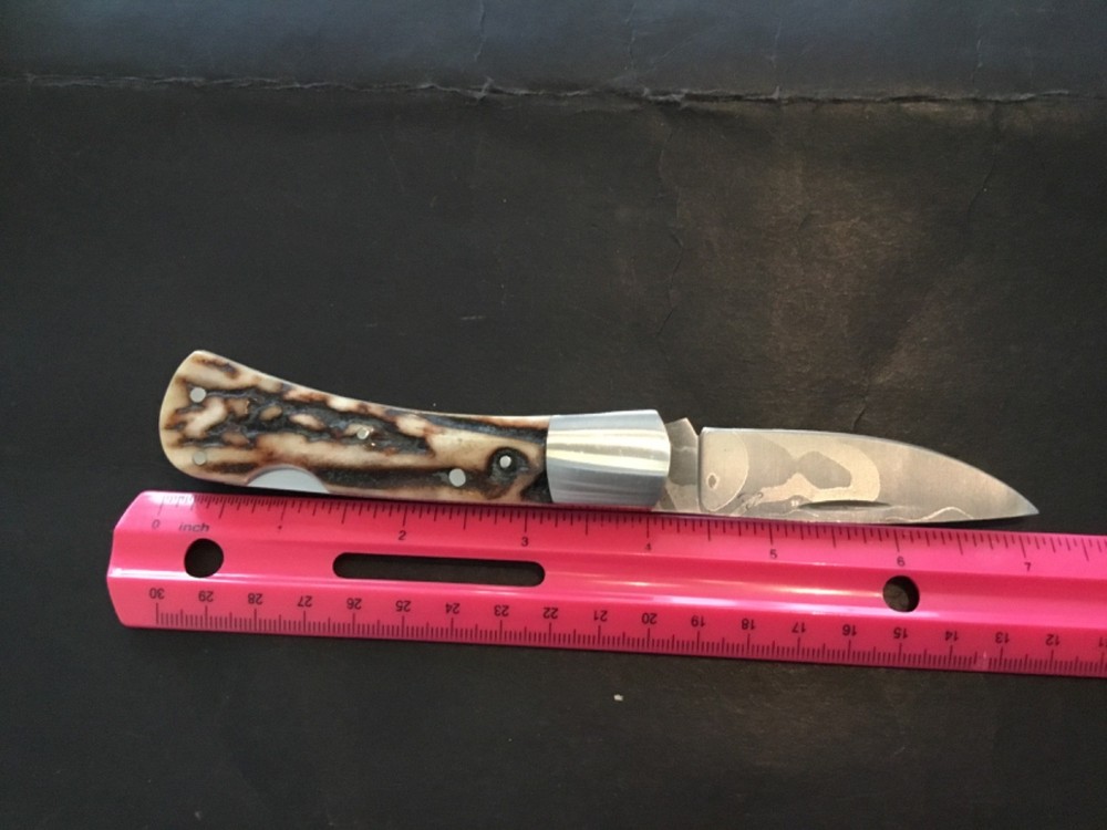 Custom Tommy Lee Premium Stag Lockback, Folder Folding Knife