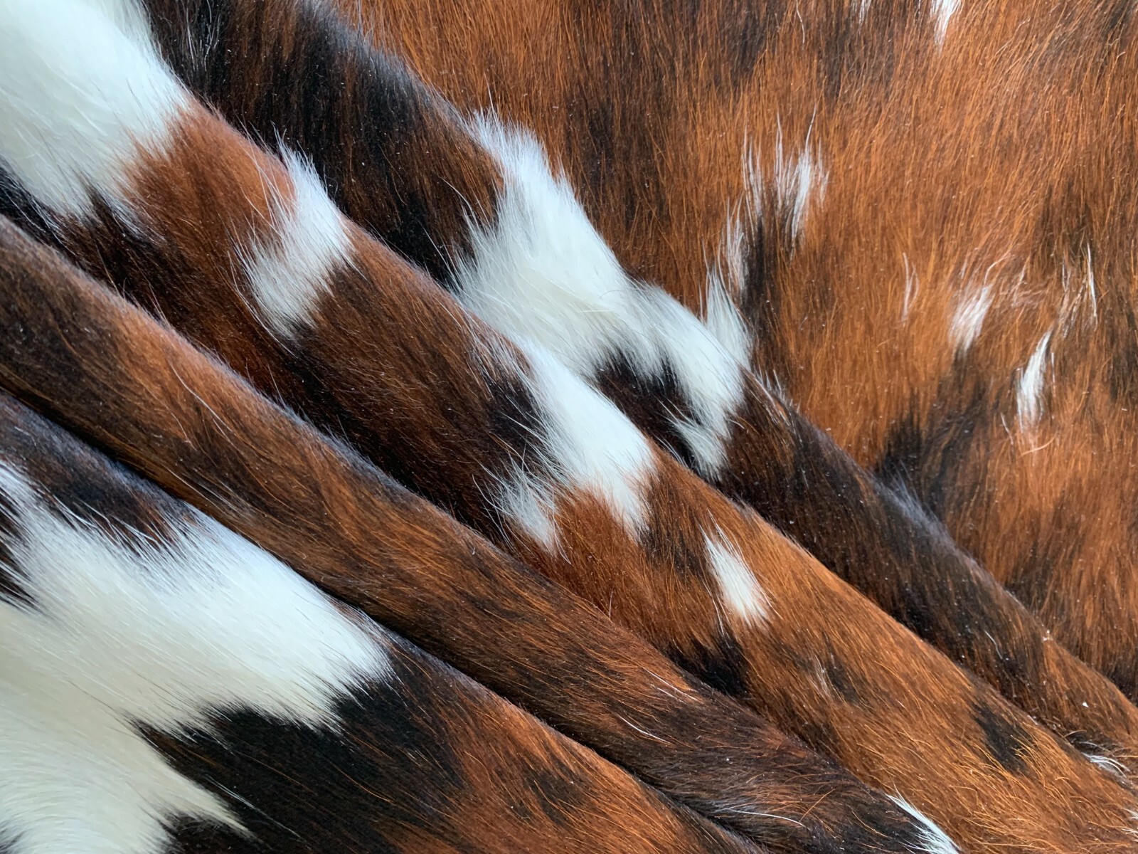 Tricolor Cow Hide Real Skin Leather Rug - Average Size 6X6 feet New Cowhide Rug