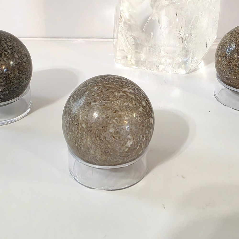 Dinosaur Bone Sphere #2- WYSIWYG