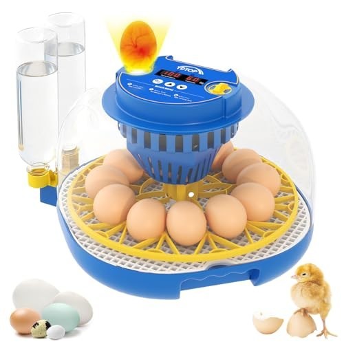 12 Egg Incubator for Hatching - Automatic Turning, Humidity Control, 360° View,