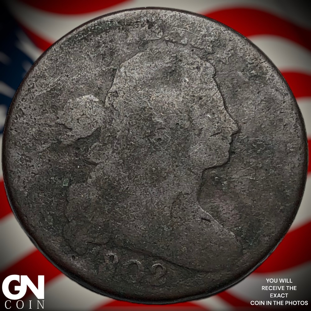 1802 Draped Bust Large Cent X7345