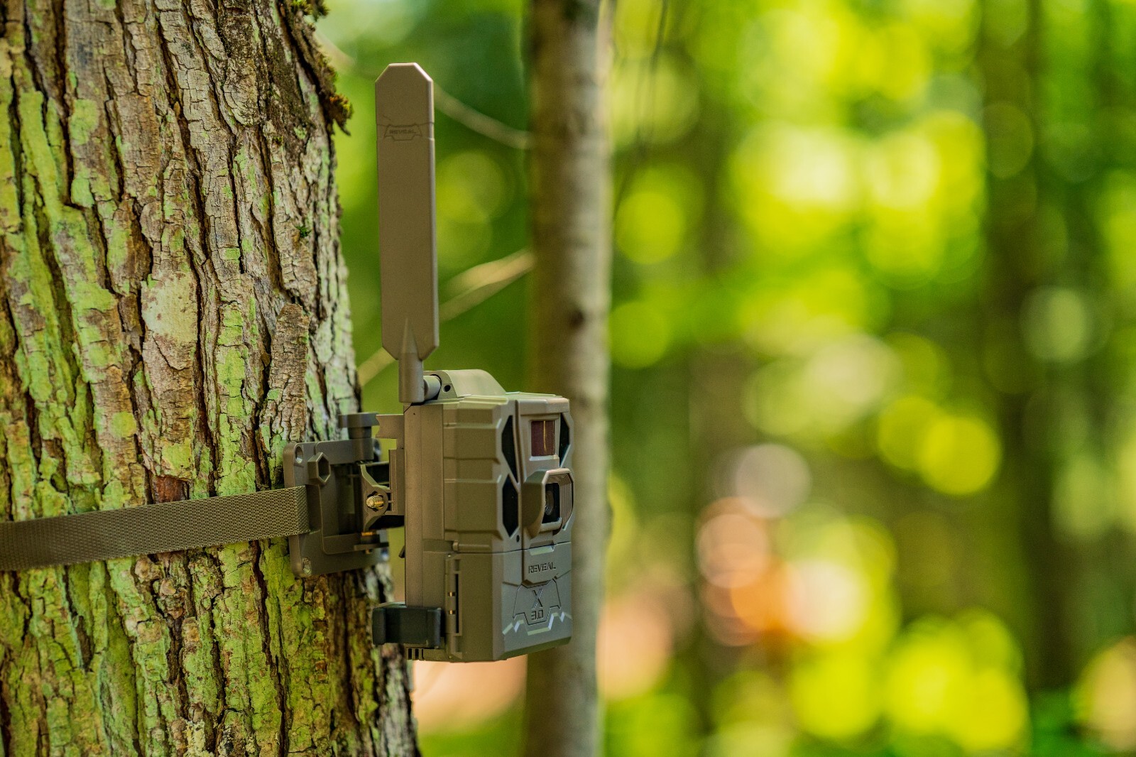 Tactacam Reveal Tree mount