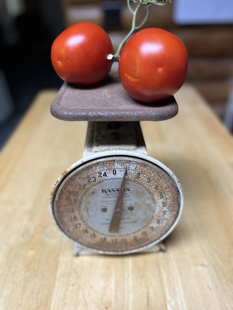 Hanson Model 2000 Utility Scale 25 lbs VTG