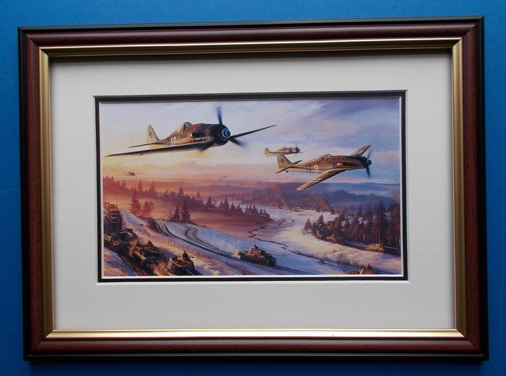 AIRCRAFT PRINT FRAMED - WINTER WOLVES