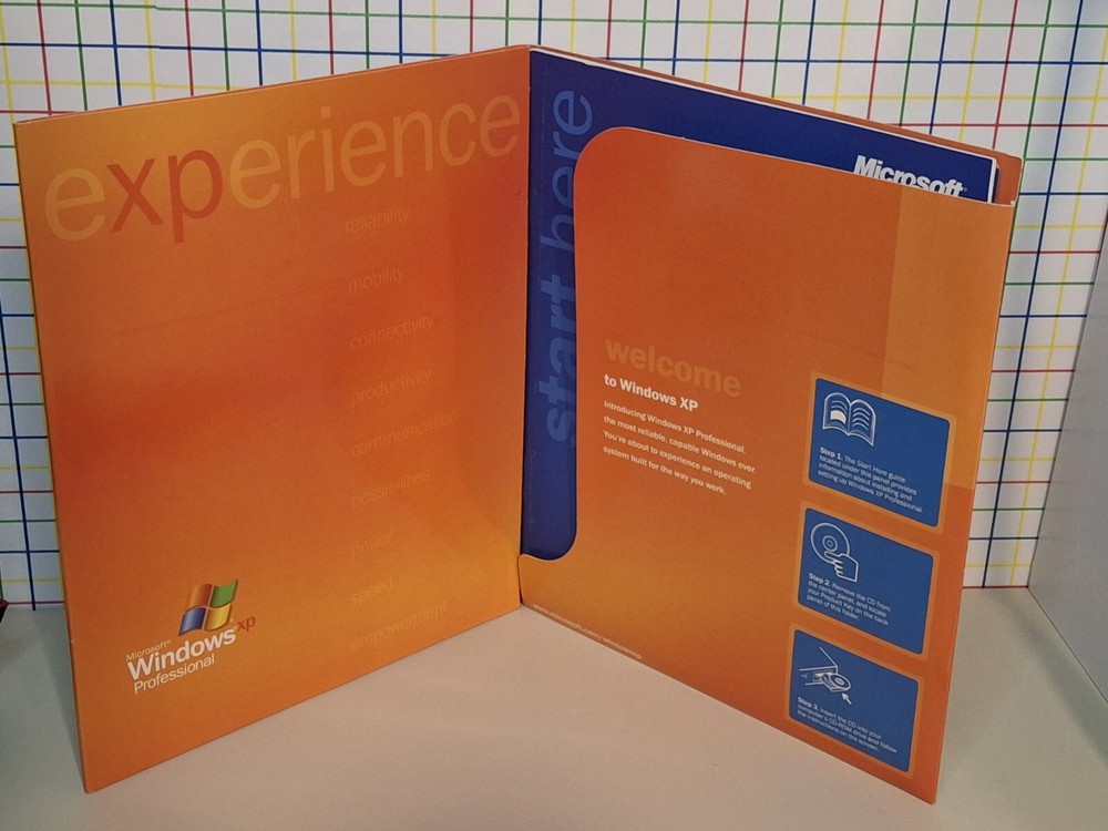 Windows XP Professional Includes Bonus Pocket Sized Windows XP For Dummies Book