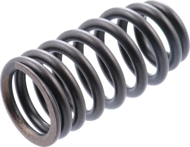 Genuine Valve Spring 13203-6KA0A