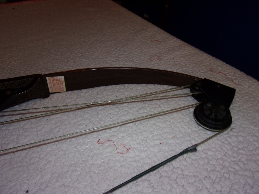 Vintage Bear Whitetail Hunter Compound Bow