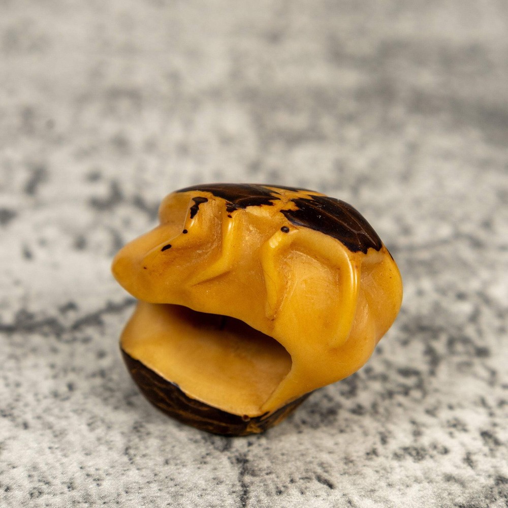 Natural White Insect Bug Tagua Carving