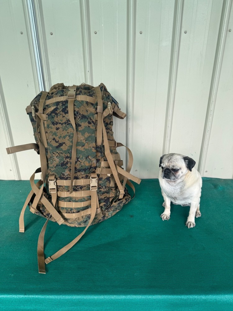 USMC Marine Corps ILBE MARPAT Rucksack Backpack Main Pack Propper