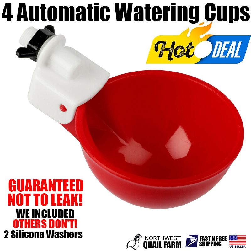 4PCS Automatic Water Cups Poultry Drinker Waterer Chicken Duck Quail Drinking