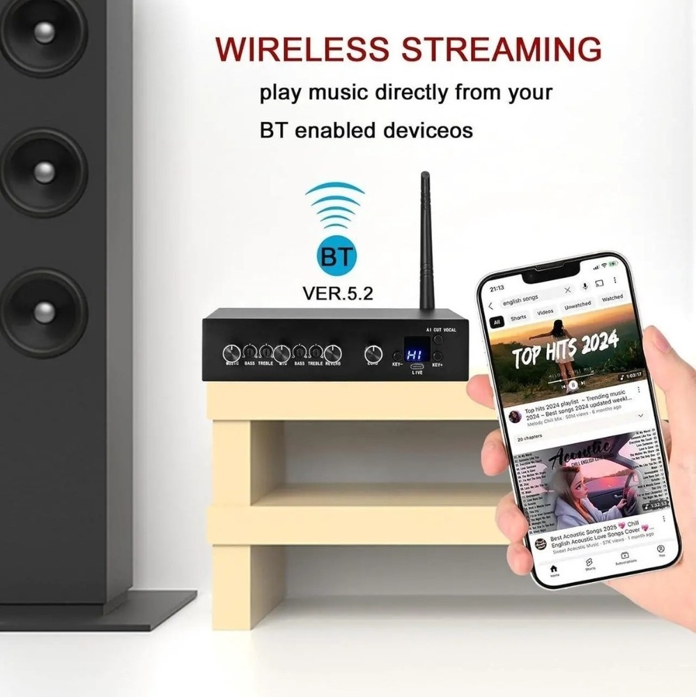 AIK089 Karaoke Wireless Microphone Machine