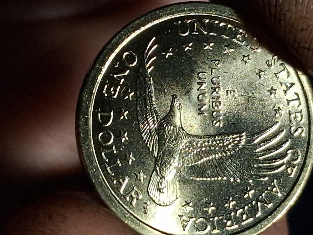 2000 D Sacagawea