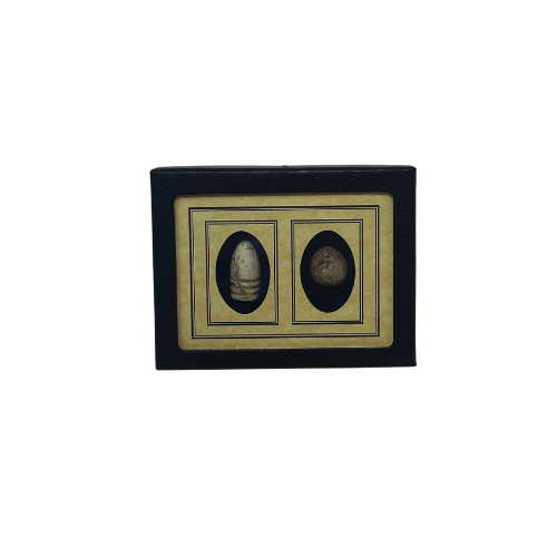 Riker Display Case w/ Mat & Color Foam for Civil War Bullets, Buttons, Artifacts