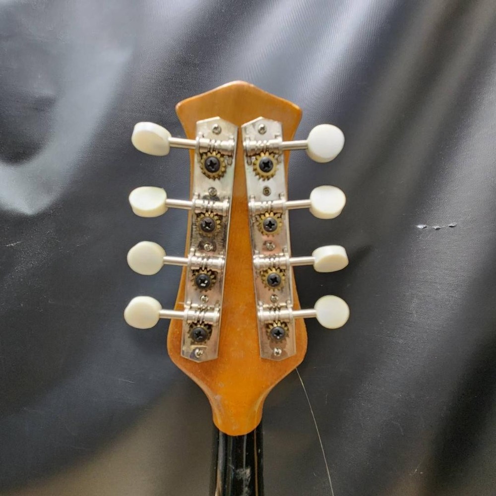 Suzuki violin mandolin 1966 No60 with case