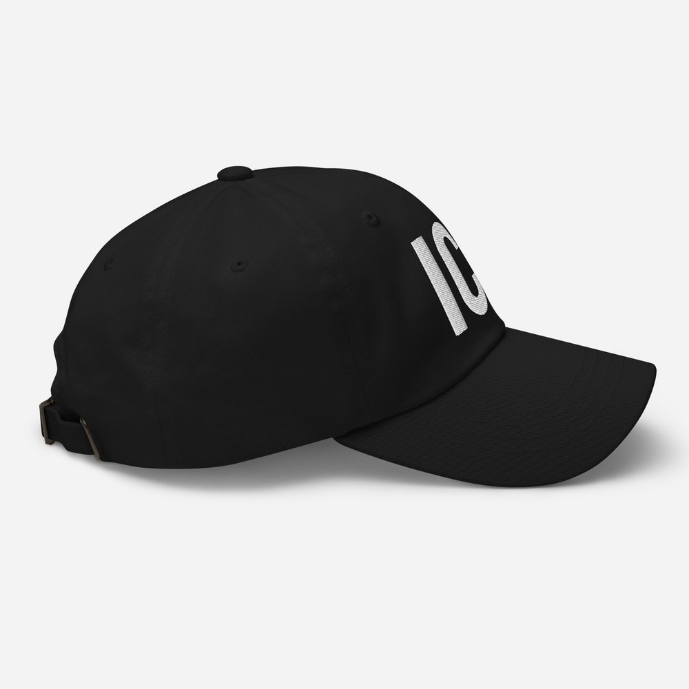 ICE Immigration Since 2003 Embroidered Dad hat/cap