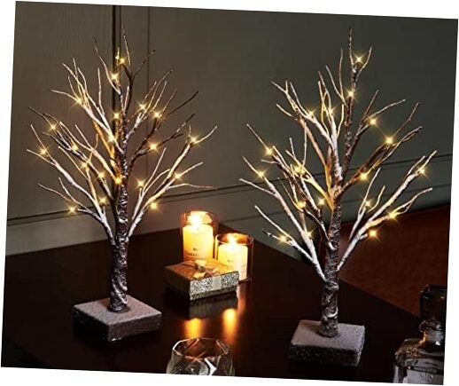 Pre Lit Tabletop Snow Dusted Tree with Timer 24LED 18IN Battery Snow 2 Set
