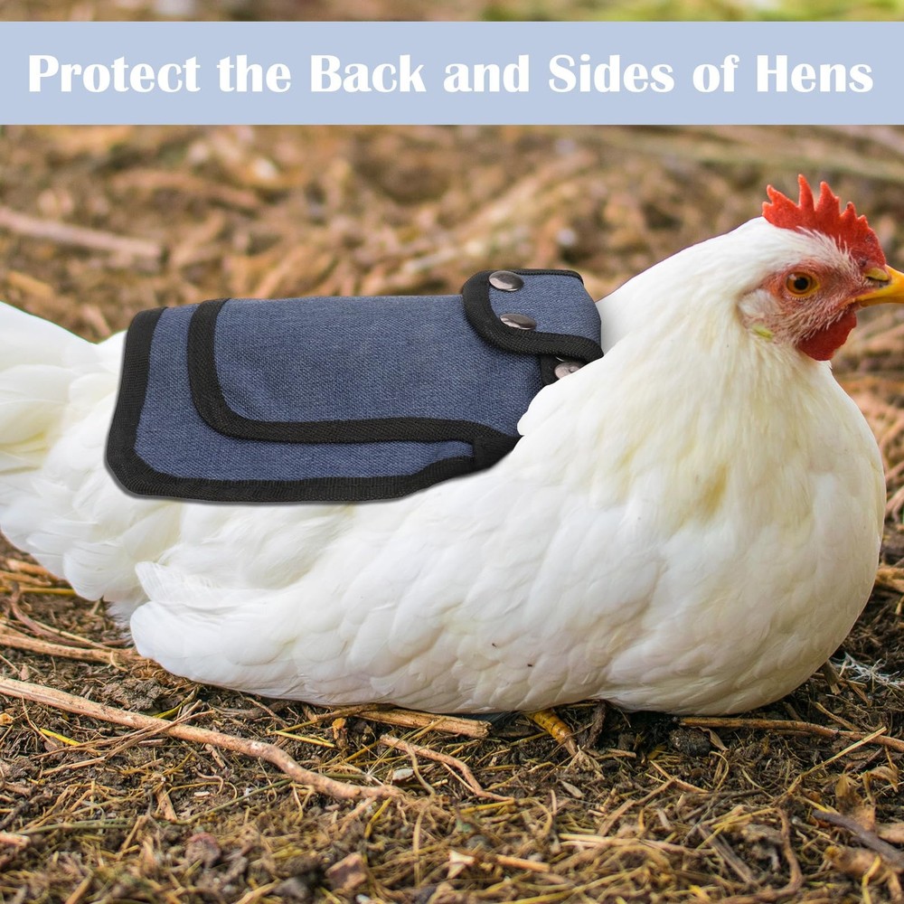 3Pcs Chicken Saddle for Hens, Saddles with Adjustable Strap, Chicken