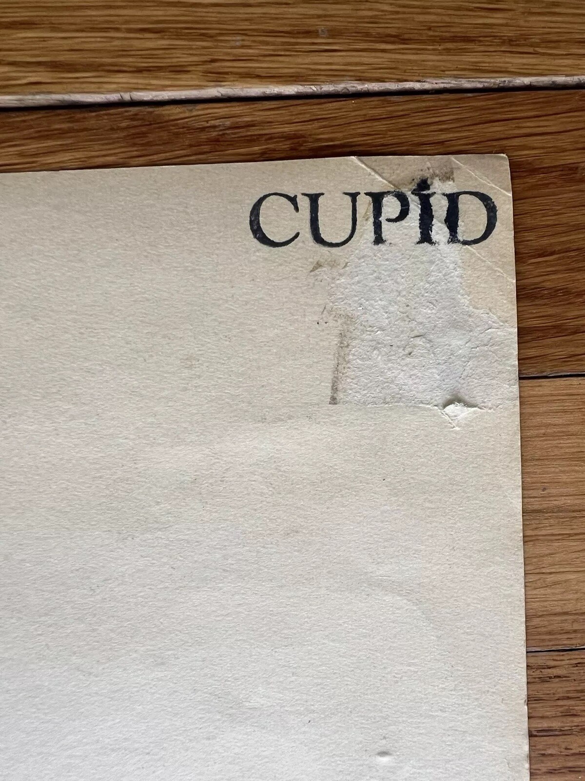 JANIS JOPLIN BIG BROTHER AND THE HOLDING COMPANY AT THE ARK VINTAGE POSTER 1967