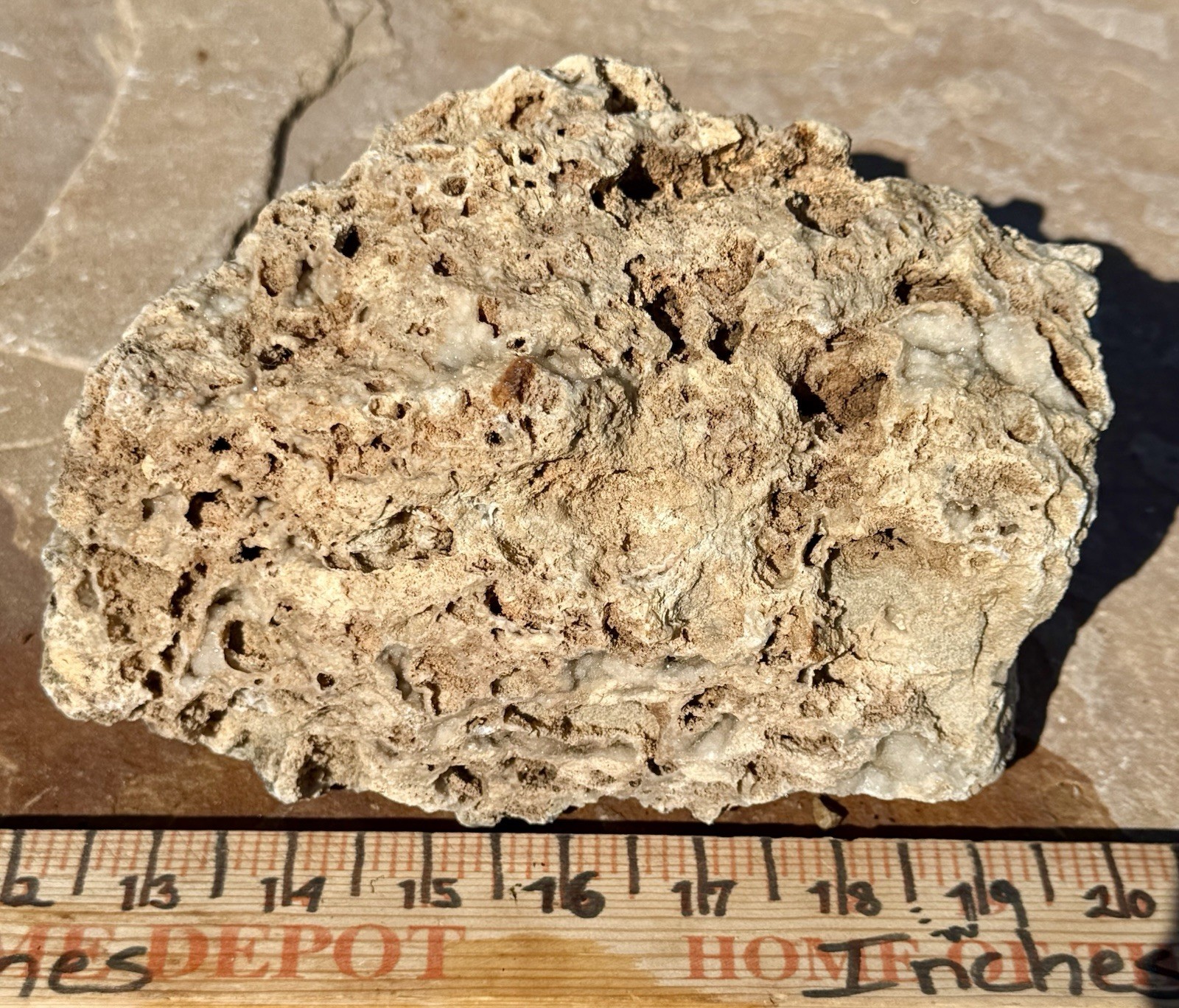 GORGEOUS* 7 Lb Crystallized Fossil Coral Reef Rock~Brilliant Druzy Sparkle
