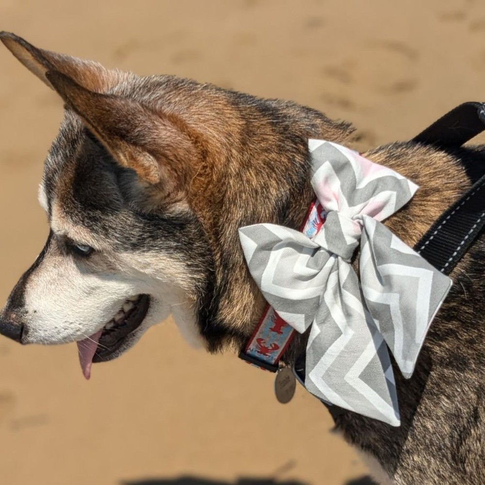 Snowflake Pet Bow Tie or Sailor Bow-4 Sizes Available