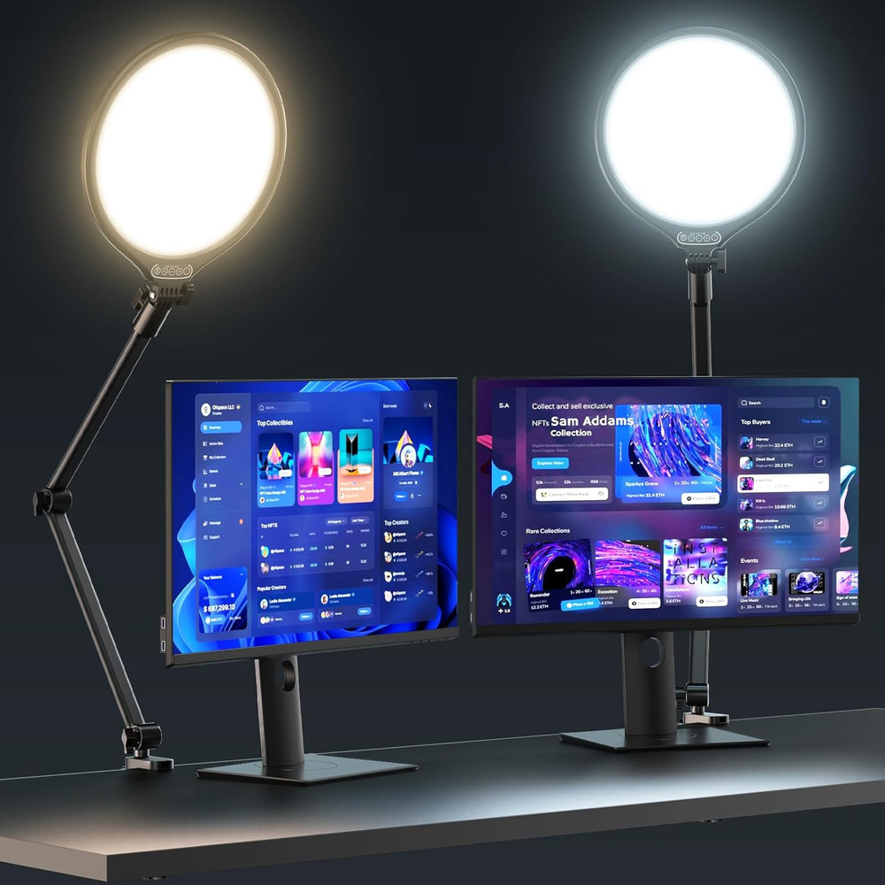 10" Key Light for Streaming, Desk Ring Light with Adjustable Arm, Zoom Lighting