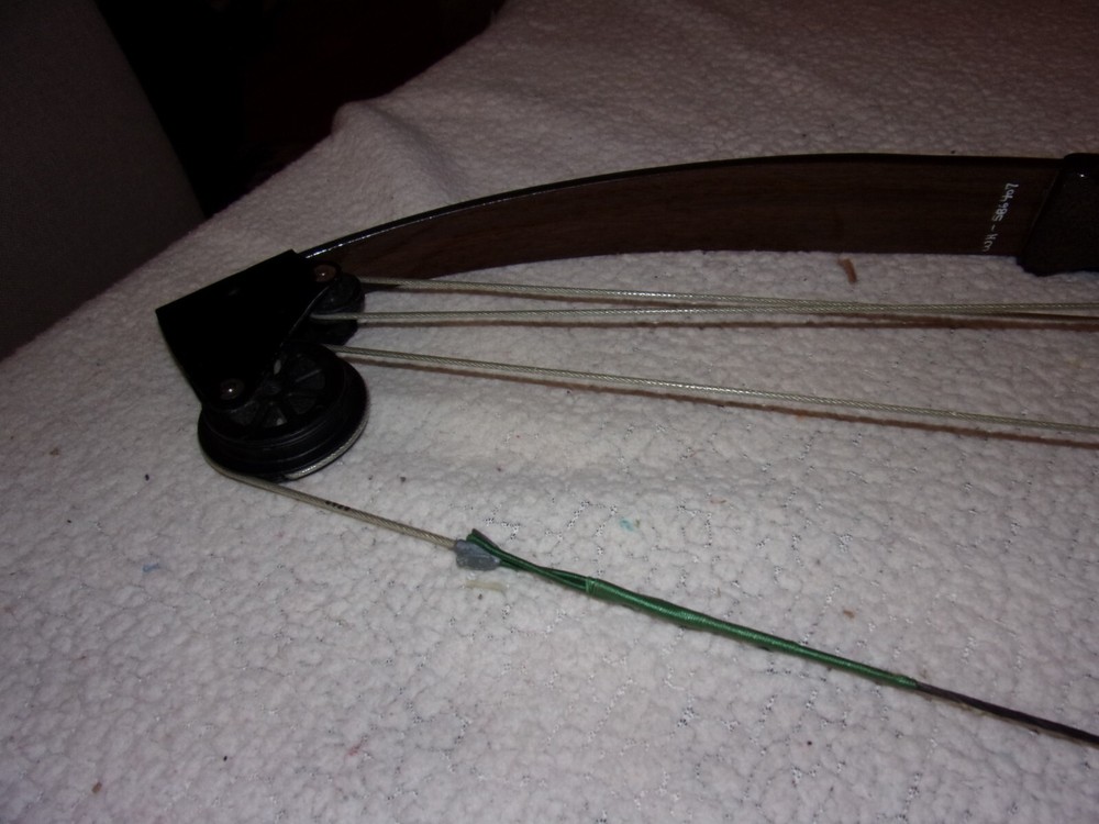 Bear Archery Whitetail Hunter Compound Bow