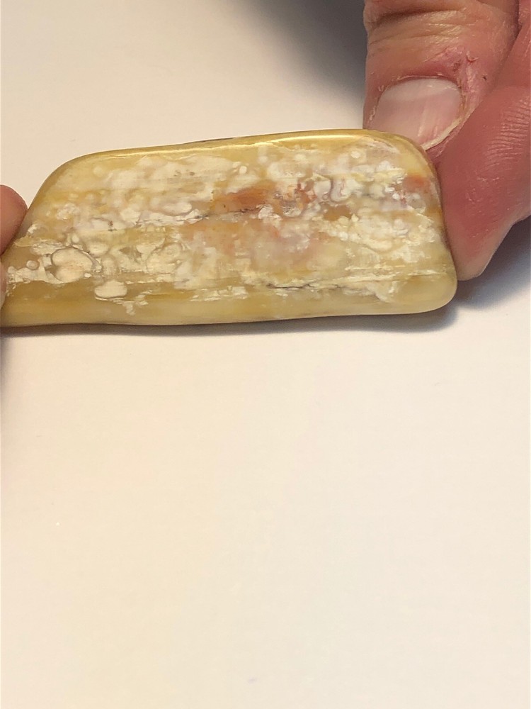 Yellow Petrified Wood. 18g