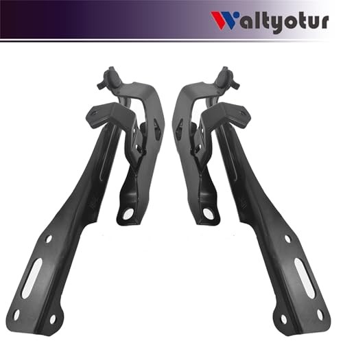 Left Driver and Right Passenger Side Hood Hinge Set Replacement for 2016-2019