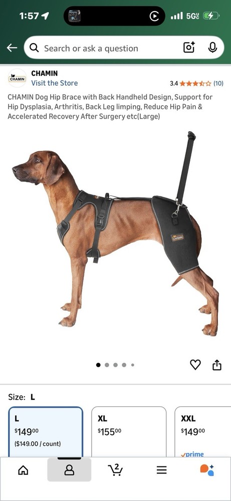 dog hip support brace