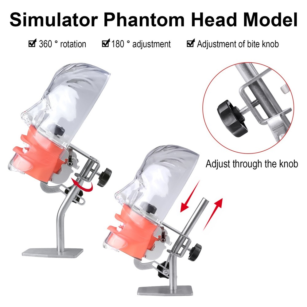 Dental Simulator Manikin Phantom Head Model Put on Desk for Training Practice