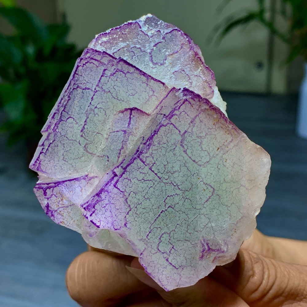 3 Code"Fluorite Cluster Crystal Mineral Specimen/Guizhou