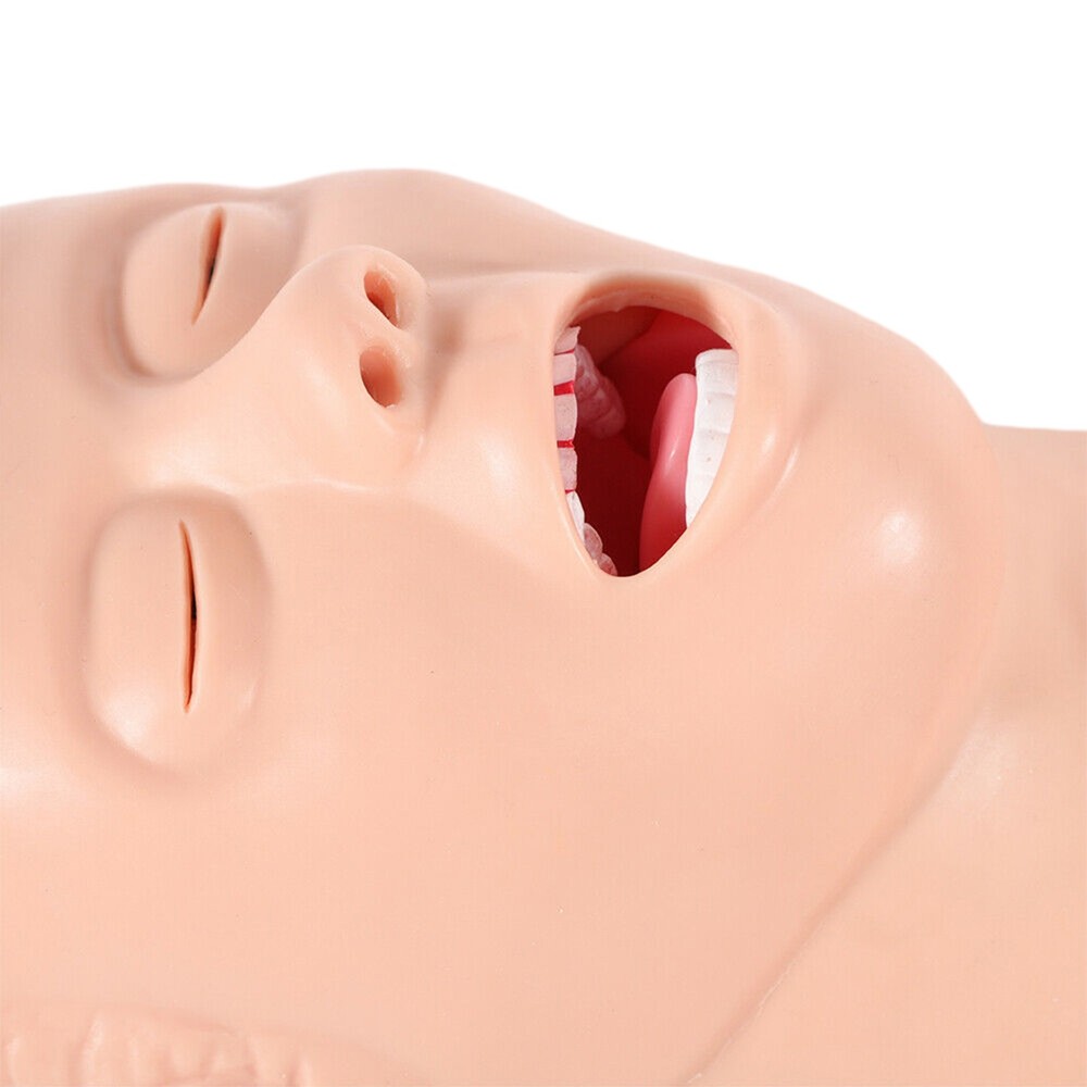 Intubation Manikin Study Teaching Simulator Airway Management Trainer Tool Model