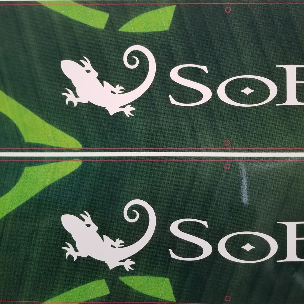 SoBe Nutrient Enhanced Advertising Preproduction Art Work 2010 Green Lizard