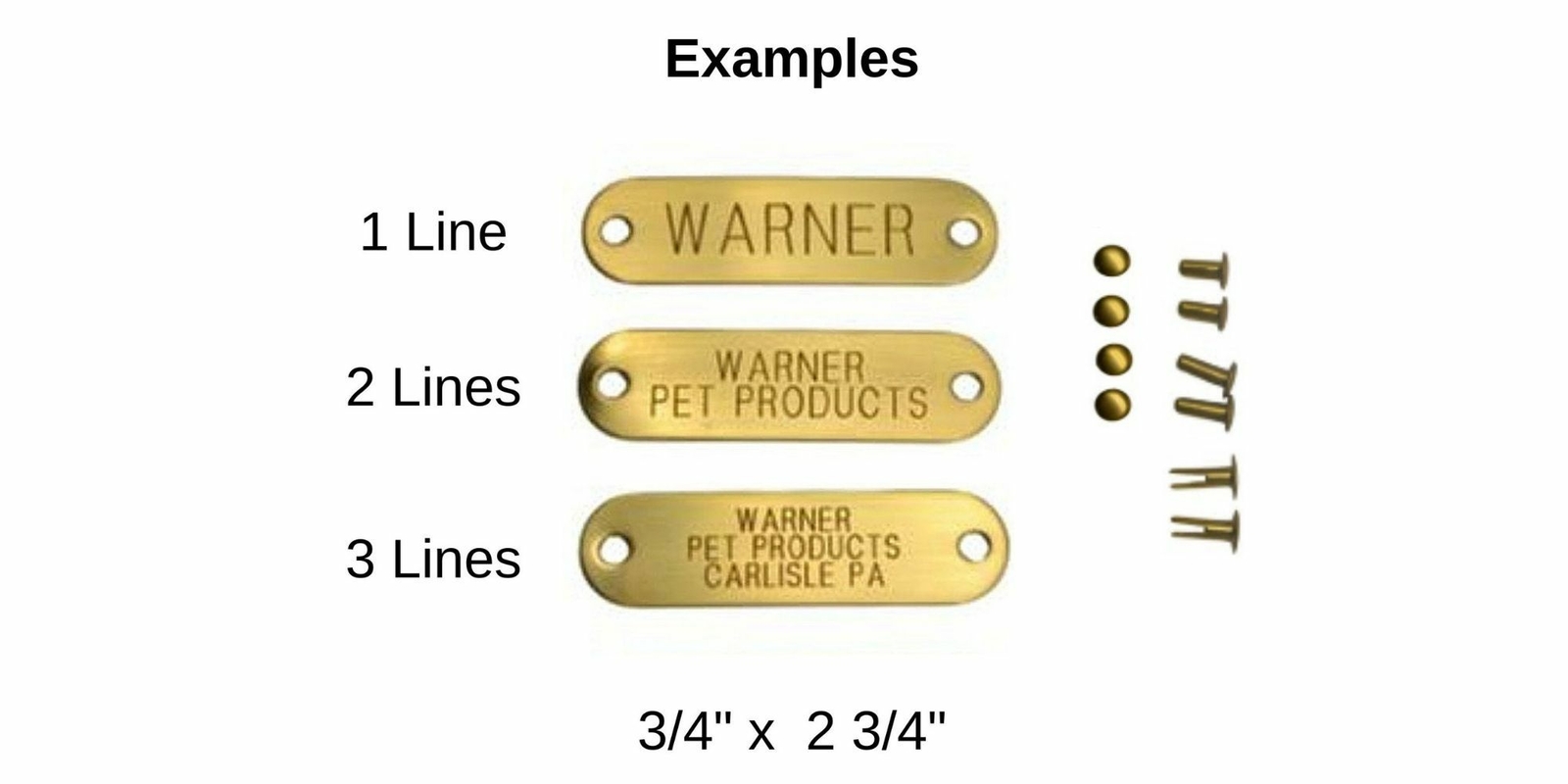 Warner Brand Engraved Brass Pet ID Dog Tag with three sizes of rivets USA