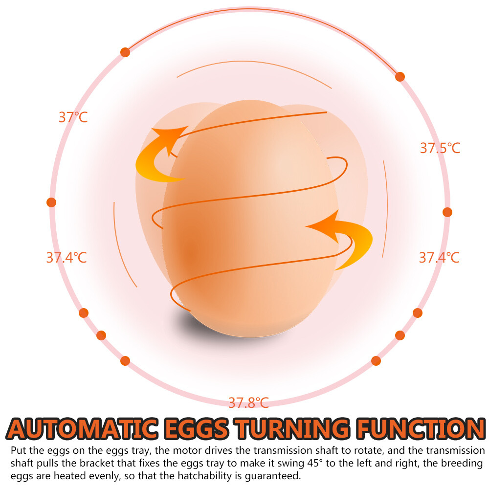 48 Digital Egg Incubator Hatcher Automatic Egg Turning Temperature Control USA