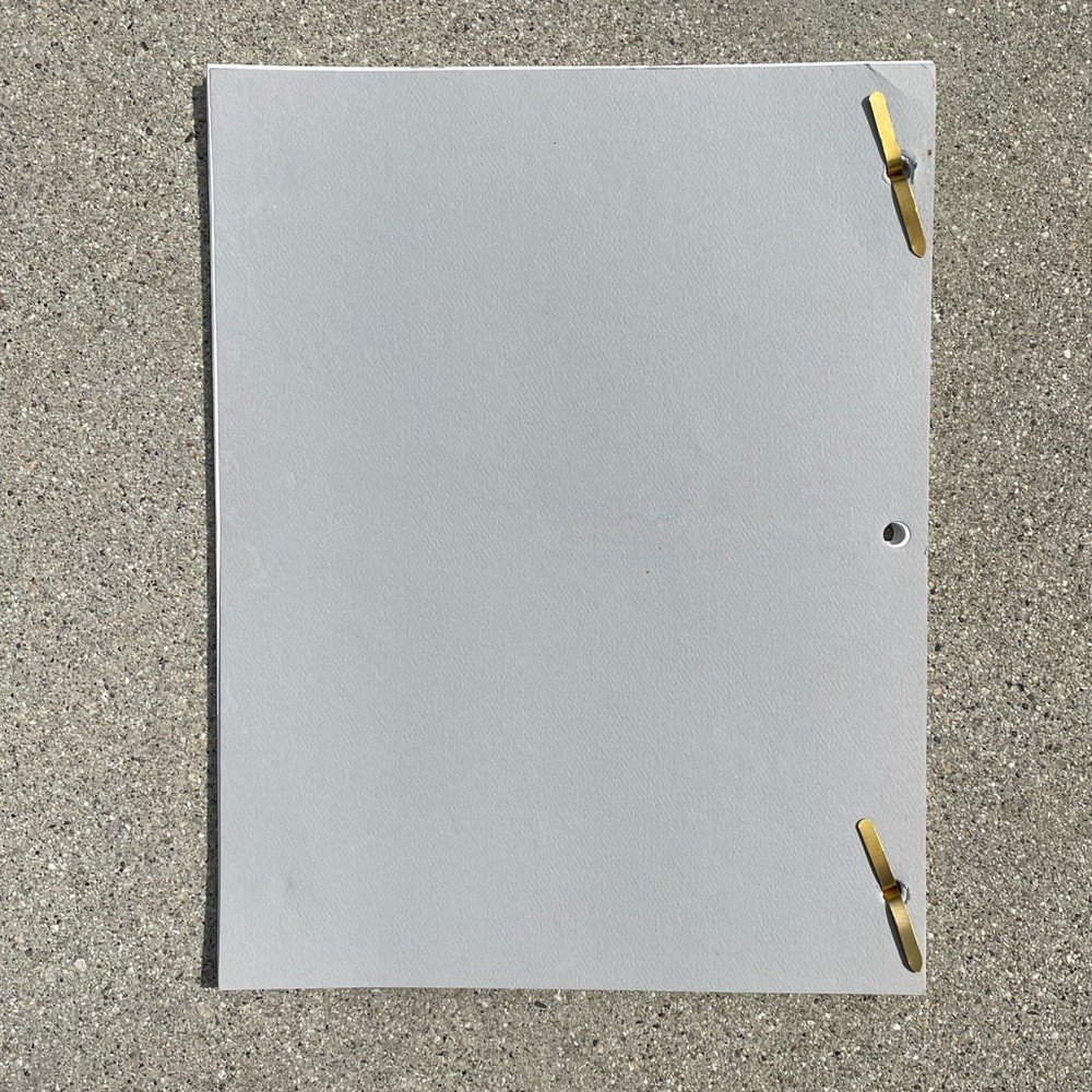 Roseanne Original 1992 Production Used First Draft Script Secrets Barr Metcalf