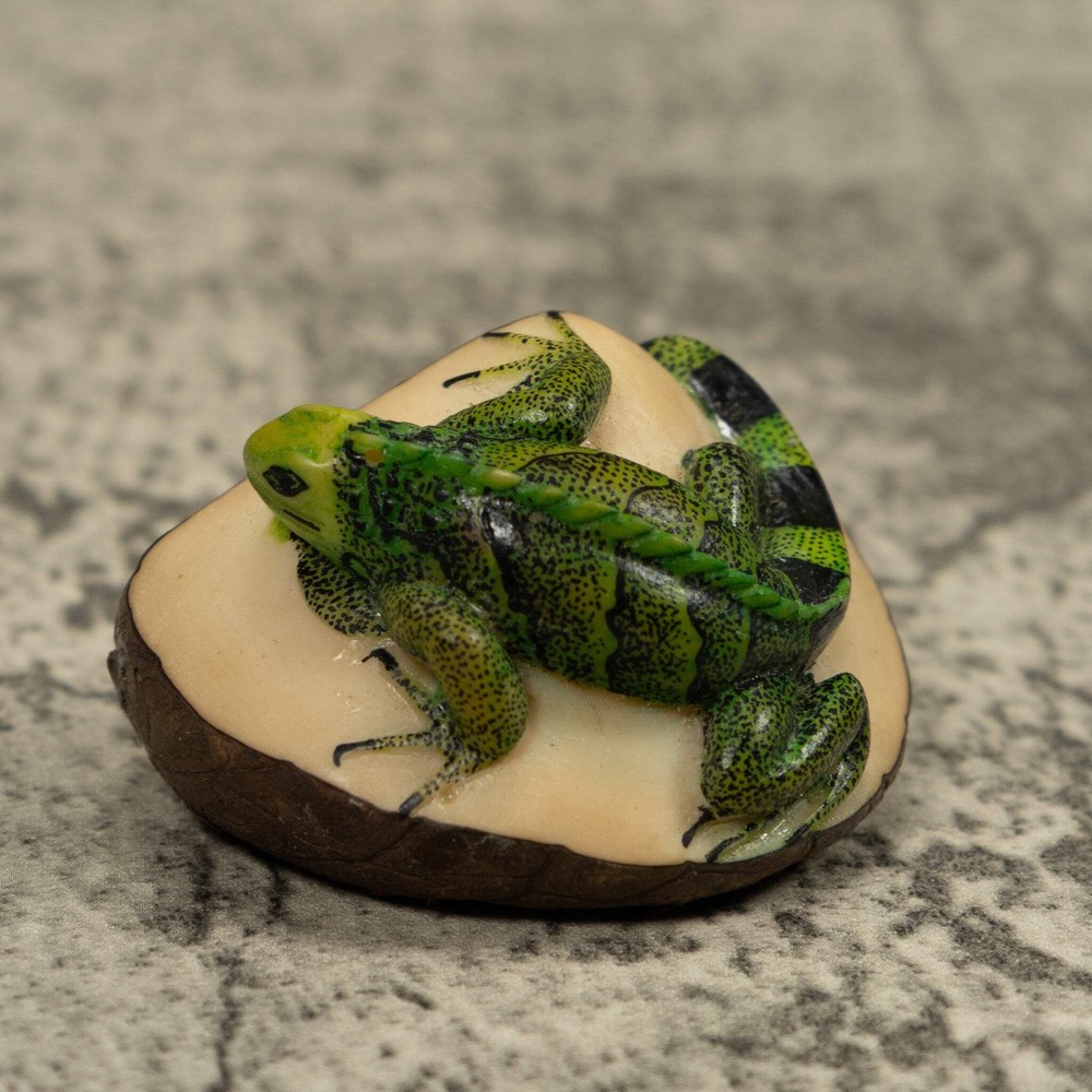 Iguana Lizard Reptile Tagua Carving