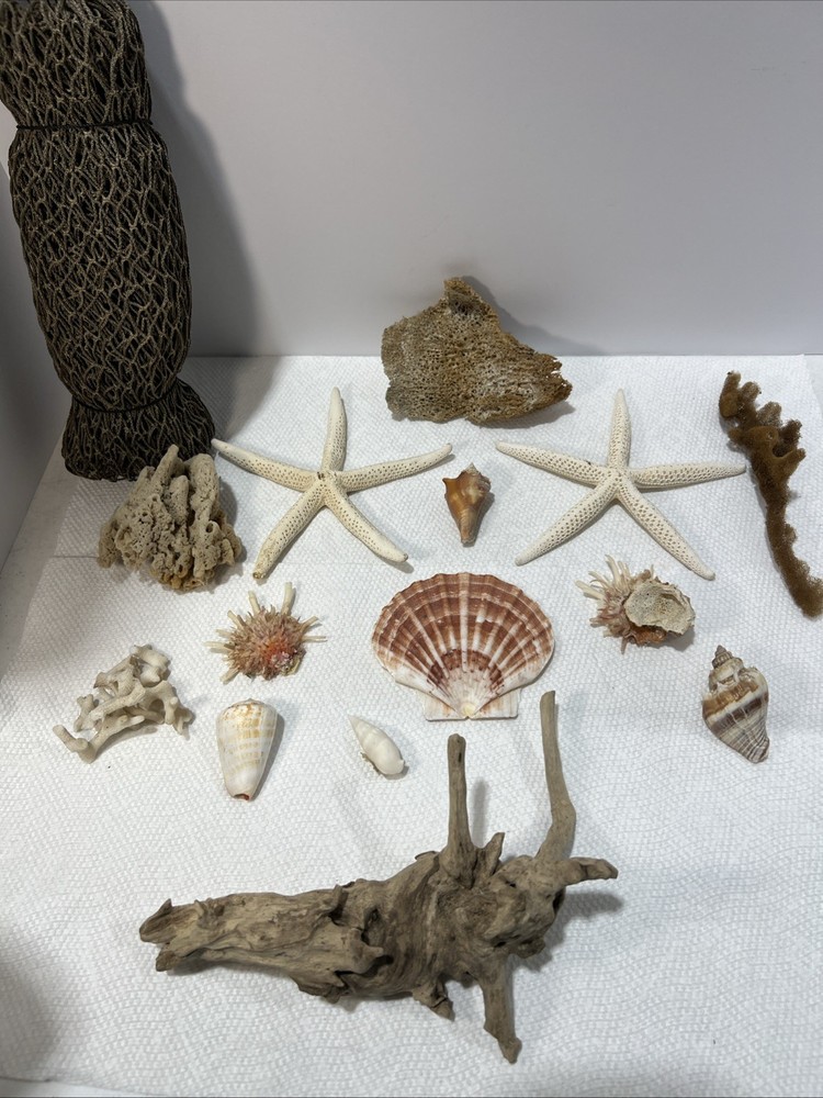 Sea Shore Items With Net. 15 Items. B5